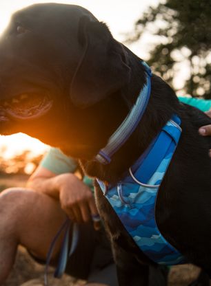 Hundegeschirr Ruffwear Front Range Harness XS - coastal mountains