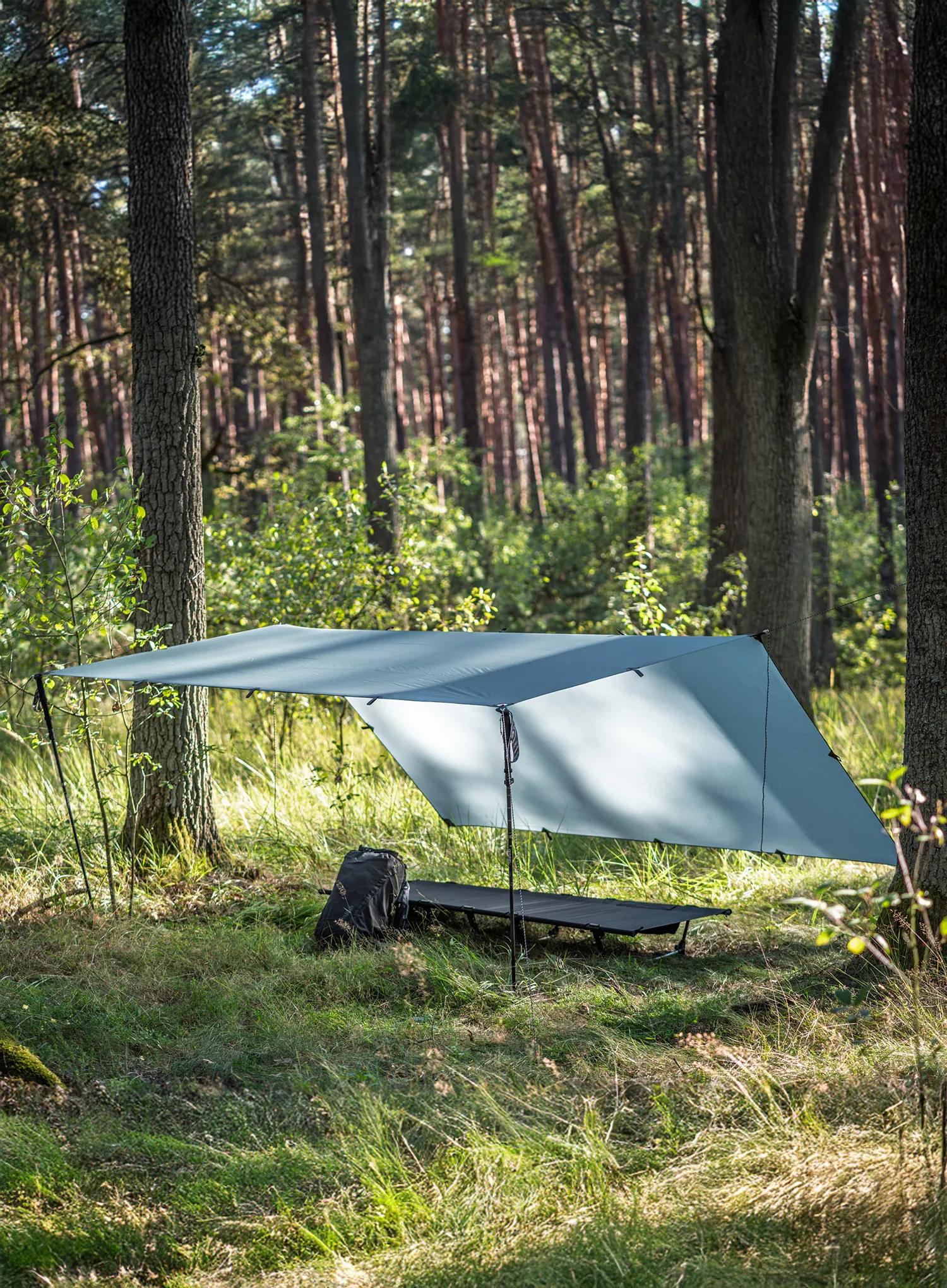 Tarp Lesovik Groza - silver pine