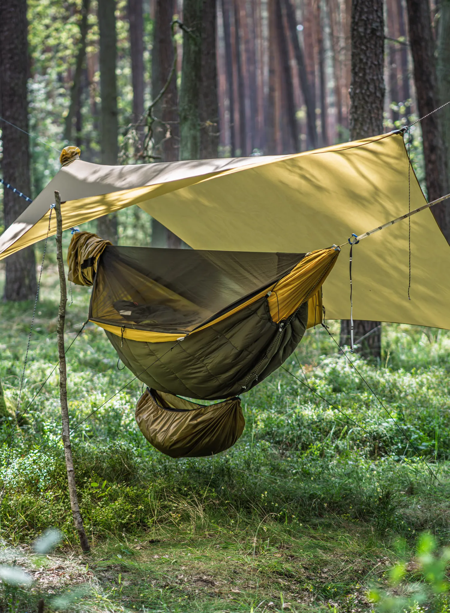 Tarp Lesovik Heksa - disa pear