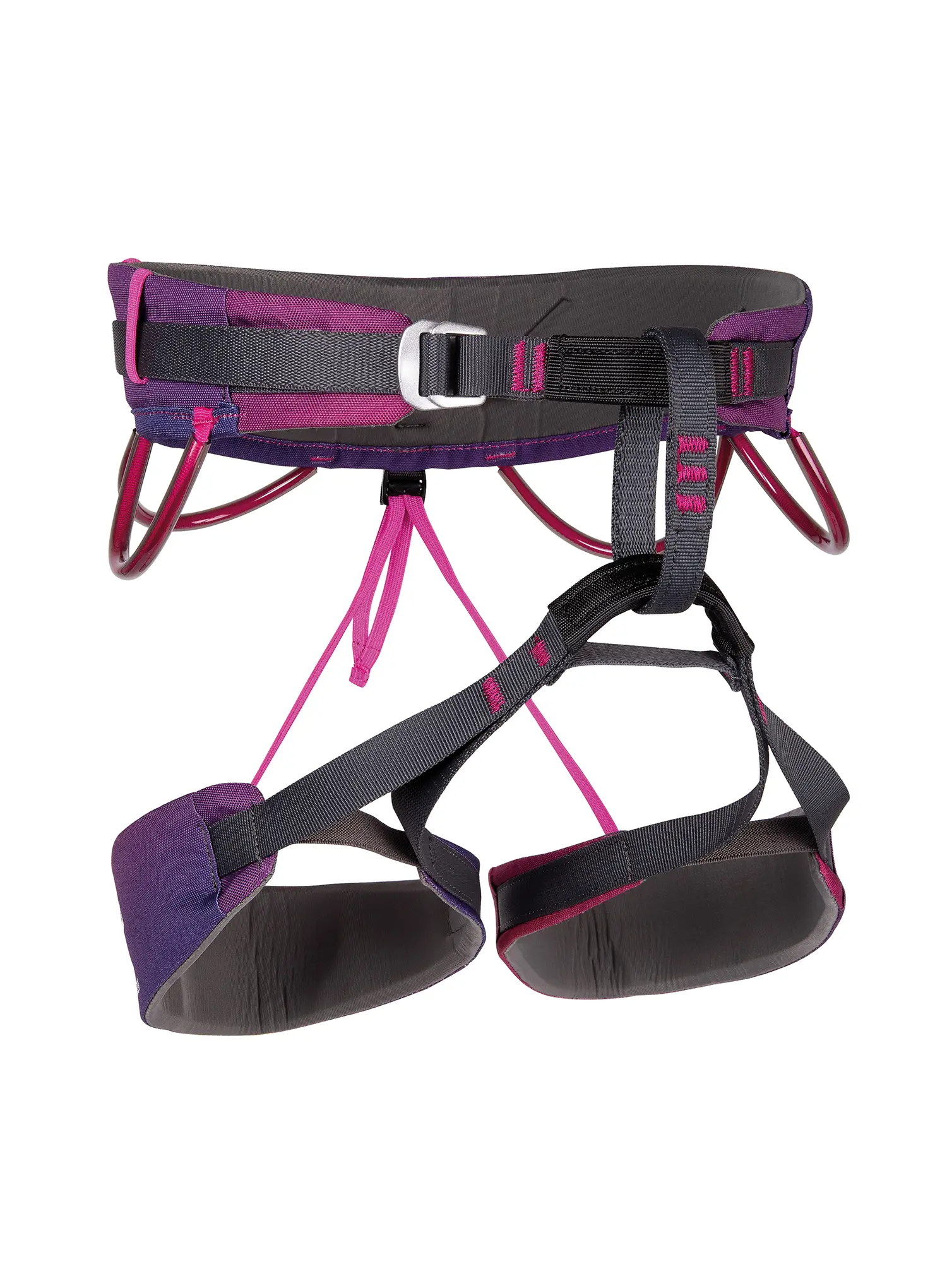 CampEnergyJanja_violet_8005436137735a.webp